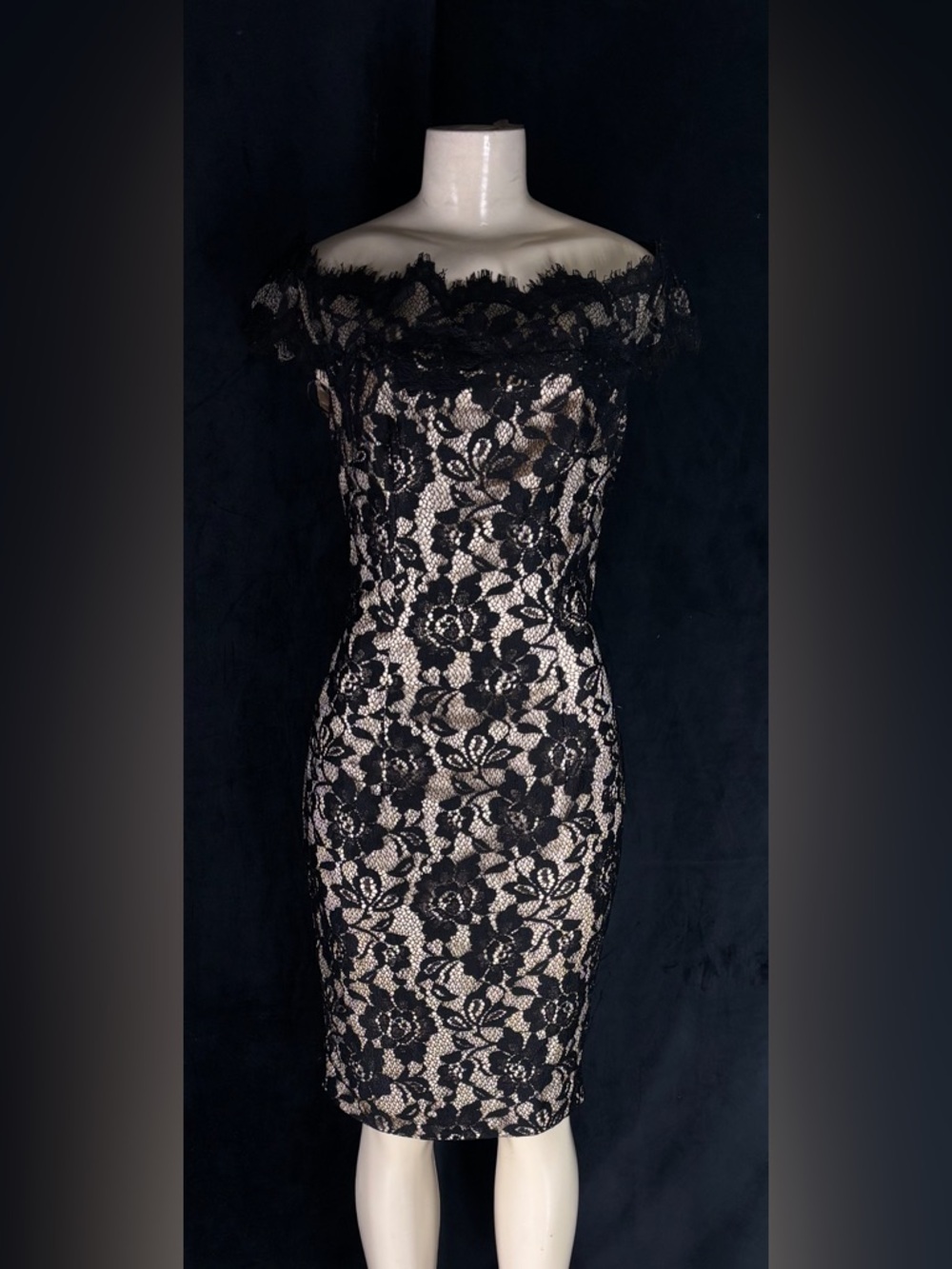 Black Lace One-Shoulder Sheath Dress with Nude Underlay